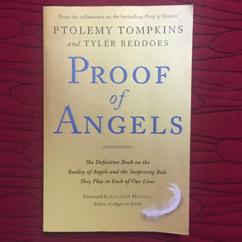 Proof of Angels Book